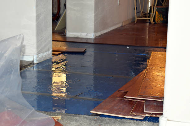 Professional Basement Flood Cleanup technician working in Horse Shoe, NC