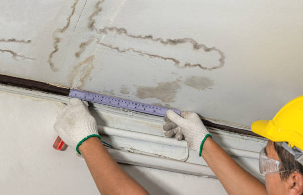 Reliable Basement Flood Cleanup contractor in Horse Shoe, NC by Aqua Guard Water Damage